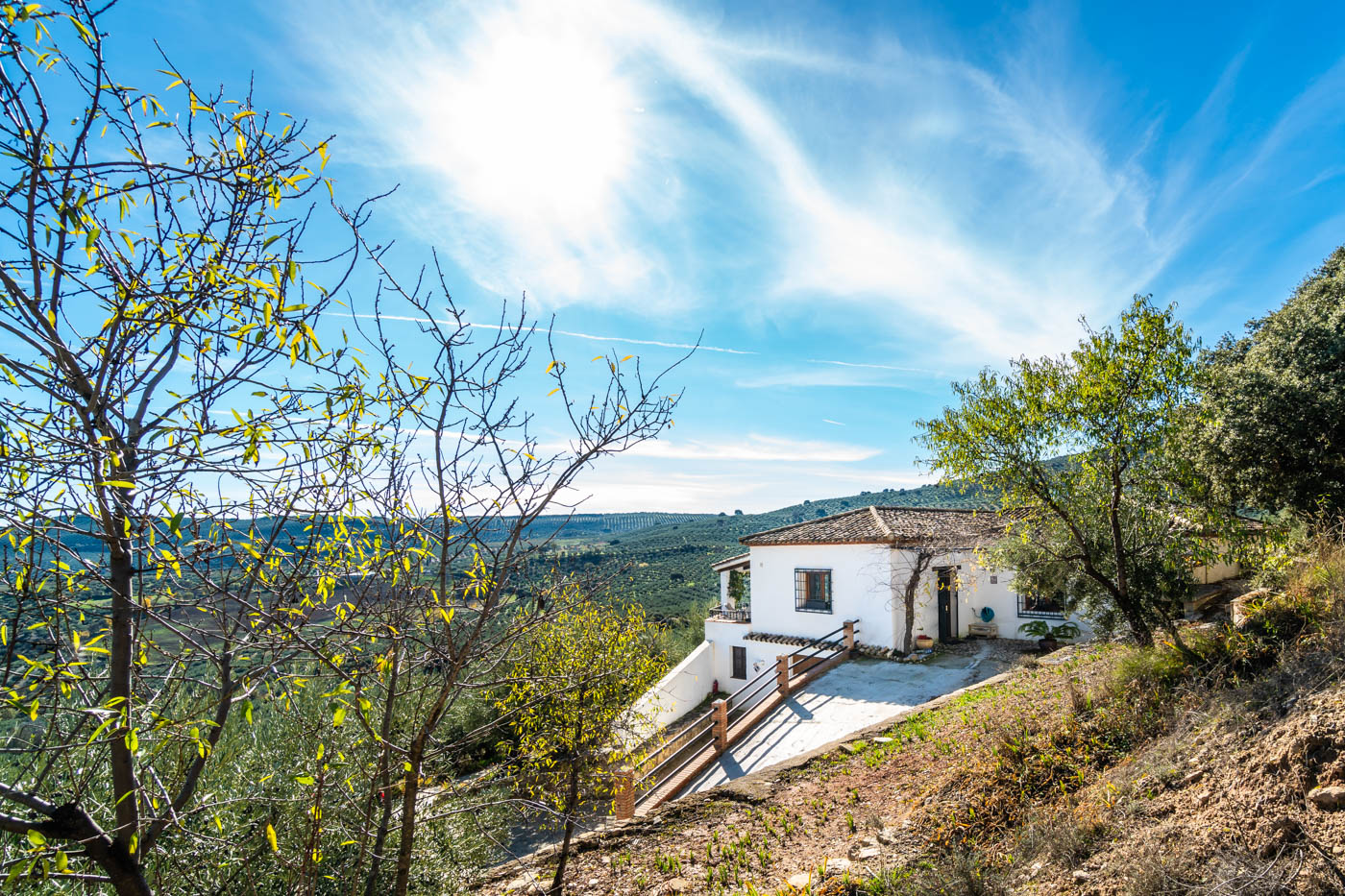 La propiedad se encuentra en su propia finca grande